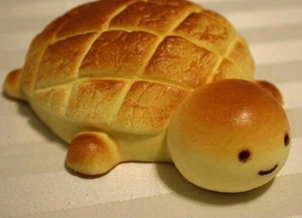 breadboi. bread in the shape of a turtle.